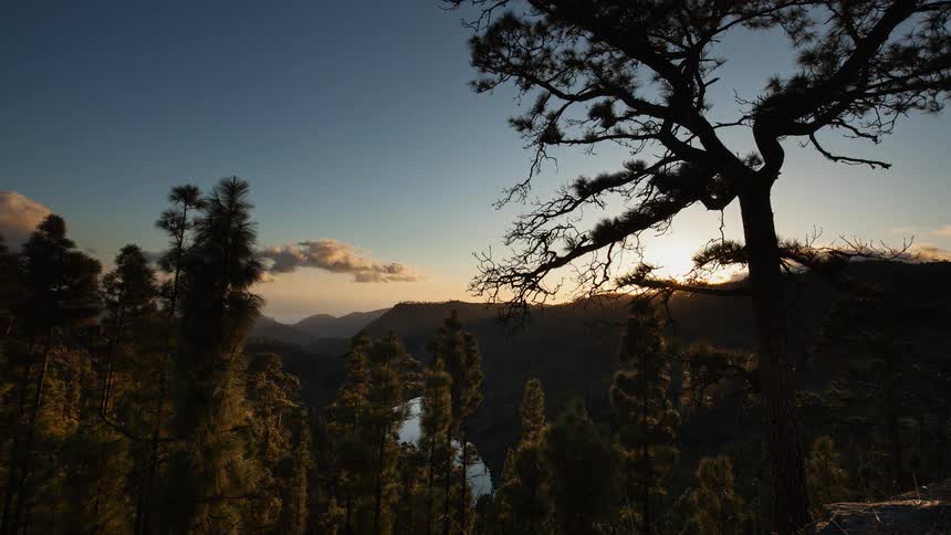The sun is setting beyond trees and hills in a natural landscape