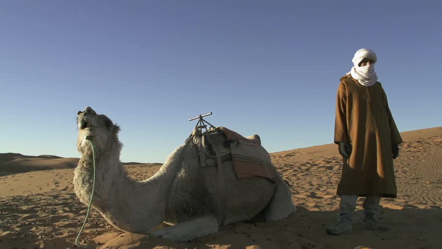 A man stands by a seated camel in the desert