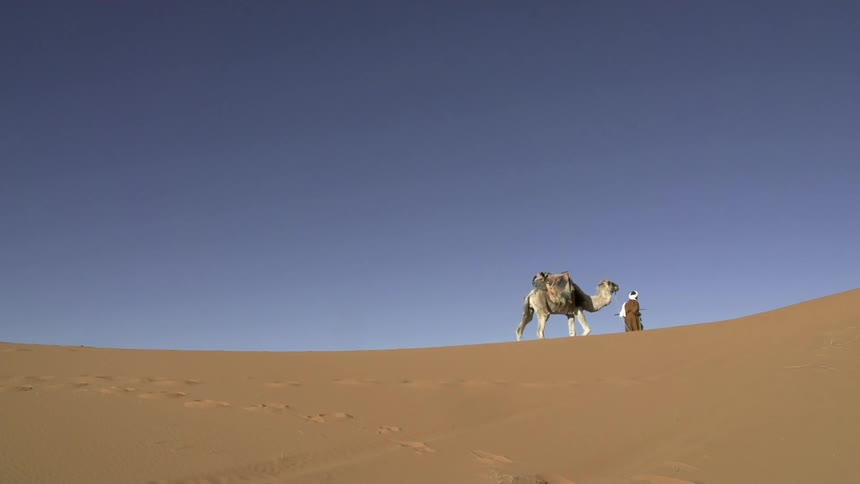 Person walking a camel through the desert