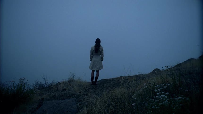 A woman stands on a hillside at dusk