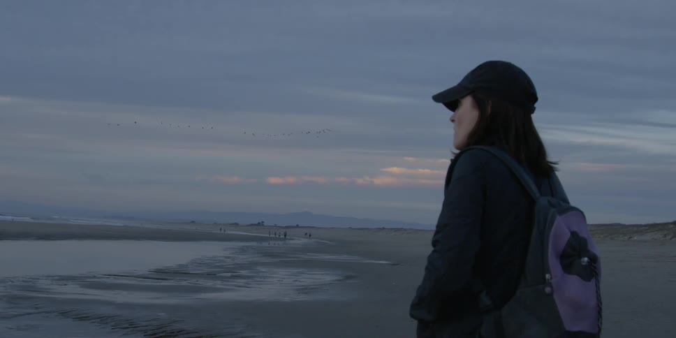 A woman is standing and looking out at a natural landscape at dusk