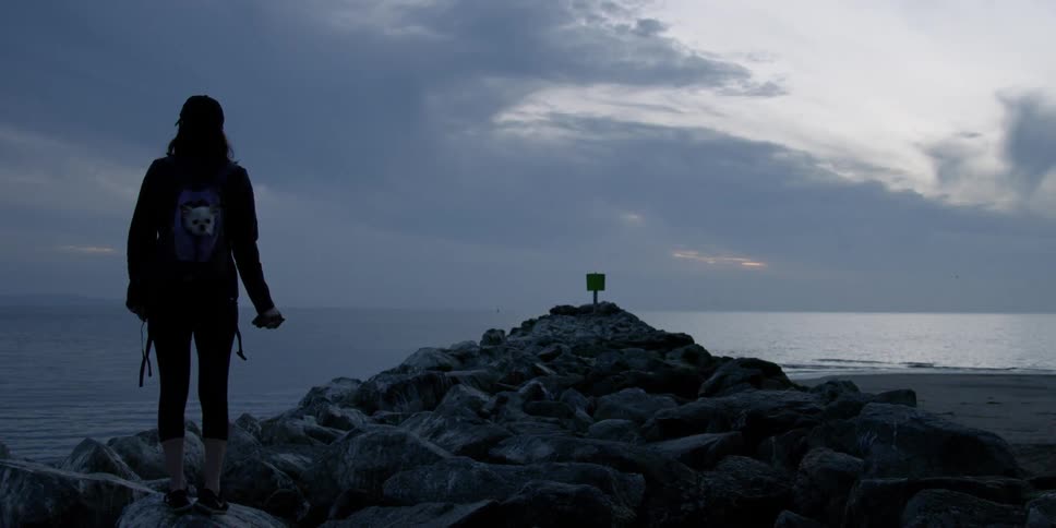 A woman with a dog in her backpack stands on rocks overlooking the ocean