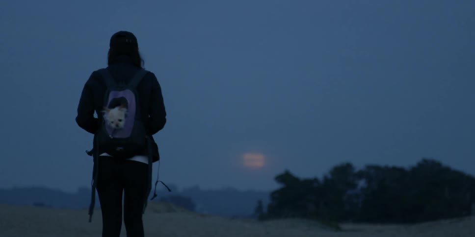 A woman hikes alone in a desert