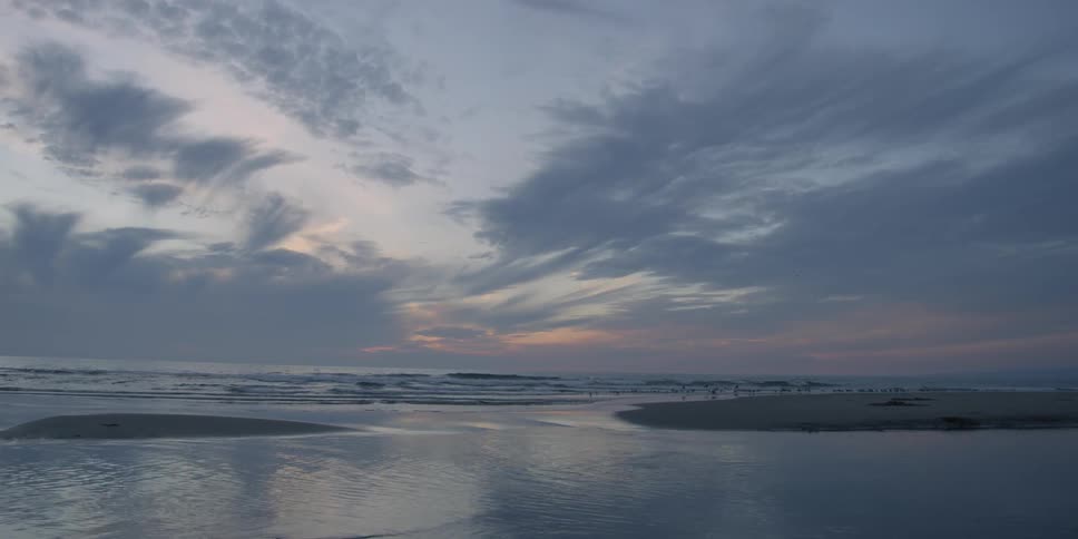 Birds fly and land on the beach as the waves come in at sunset