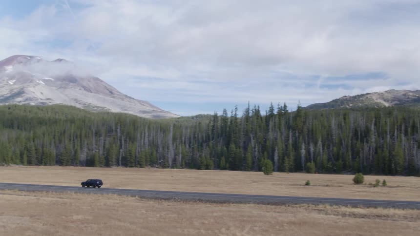 A jeep is driving next to an evergreen forest