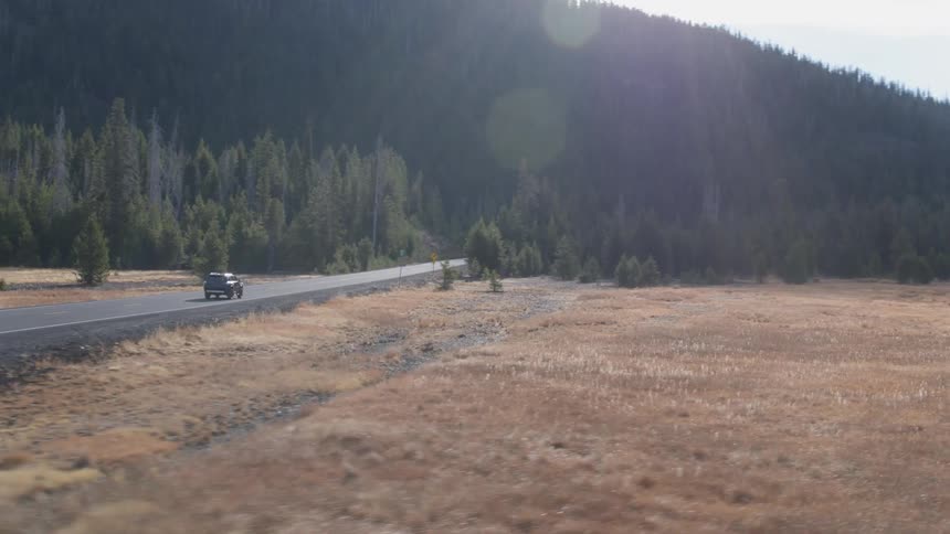 A vehicle drives into a forest on a sunny day