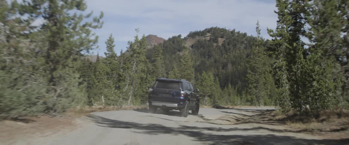 Jeep drives on a bumpy country road surrounded by trees