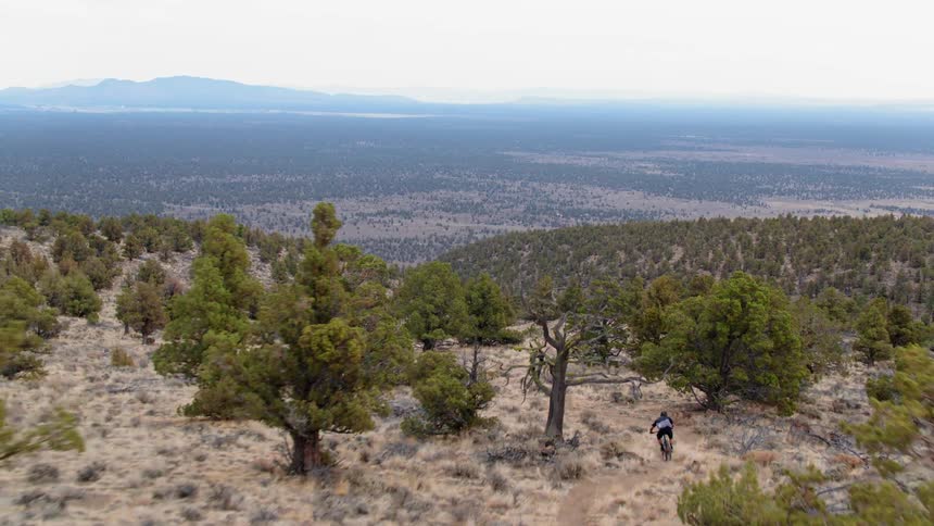 Cyclist riding down a steep trail in a wooded area