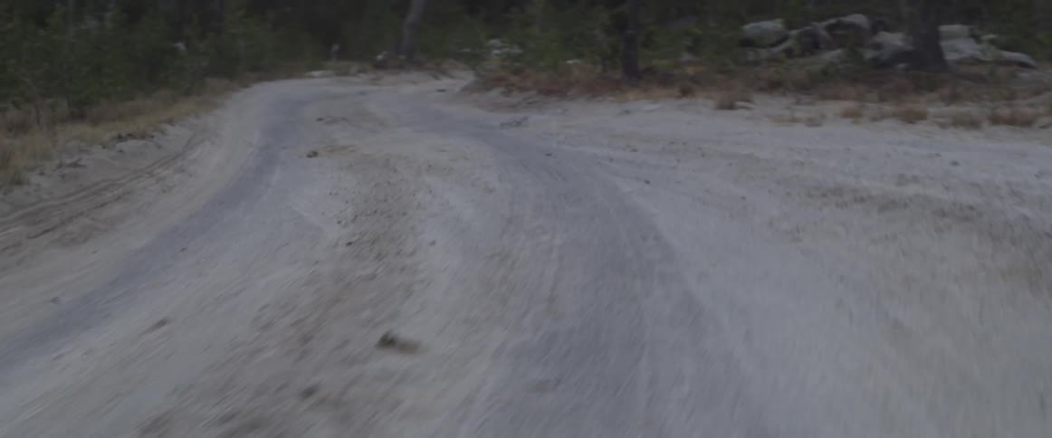 Traveling down a winding road in the forest