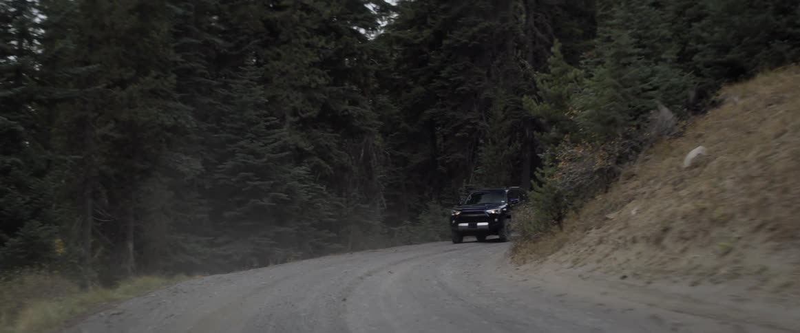 Vehicle travels down the road between rows of trees