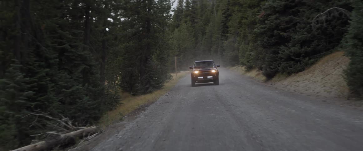 Jeep drives on a bumpy country road surrounded by trees