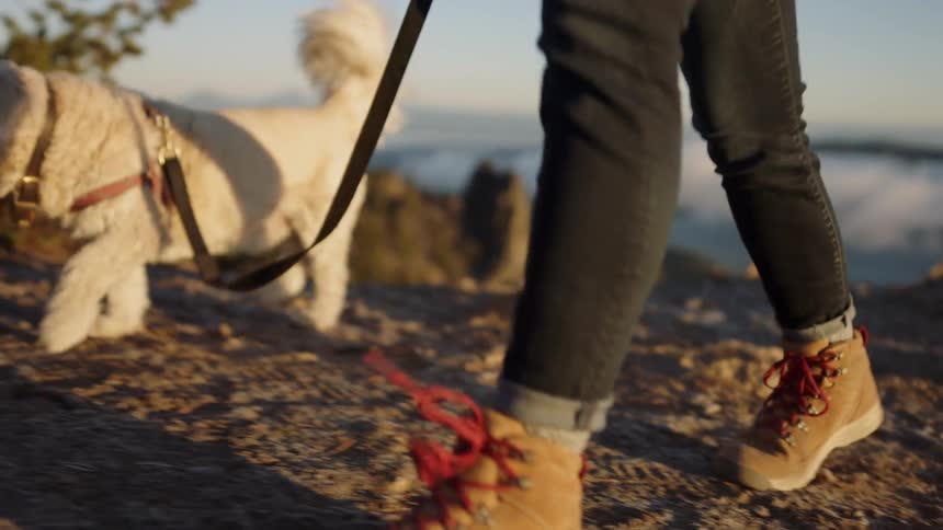 A woman and her dog are hiking on a mountain path during the day