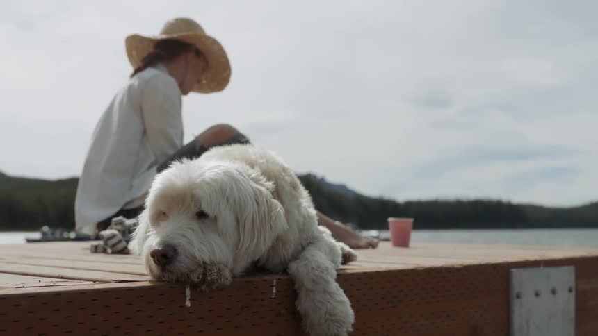 A woman and dog sit on a lake dock