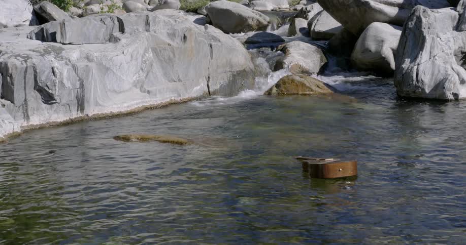 A guitar floats down a rocky stream on a sunny day