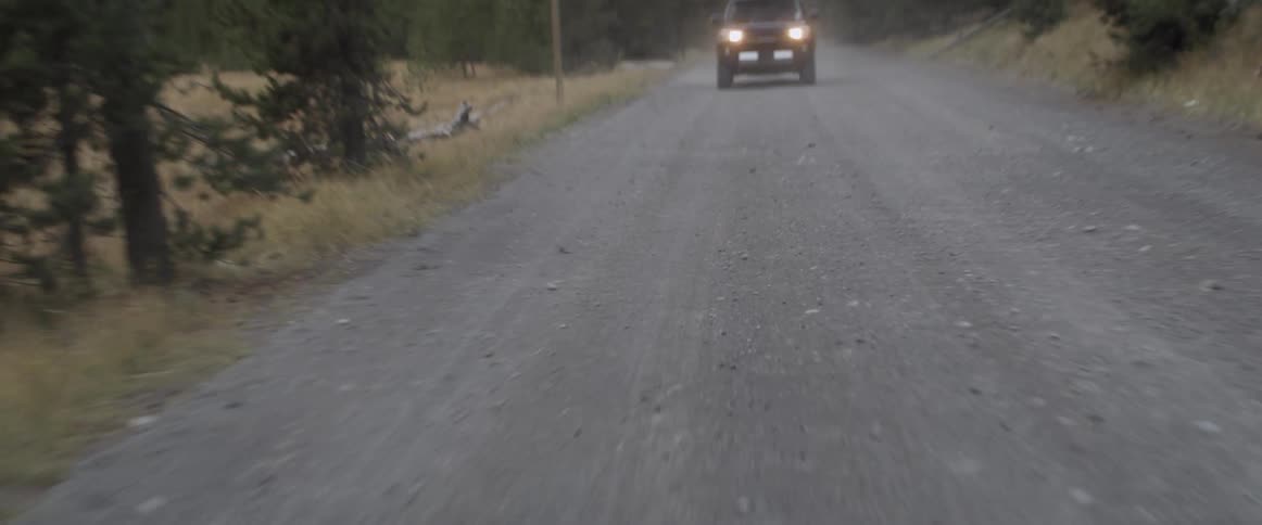 Car drives on a country road surrounded by trees
