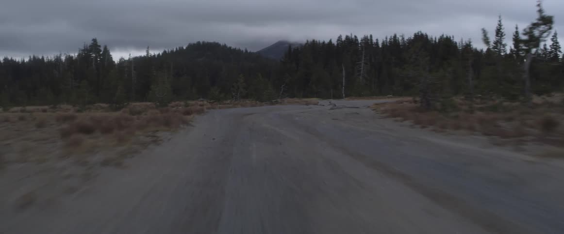 A vehicle travels on a dirt road in a forest