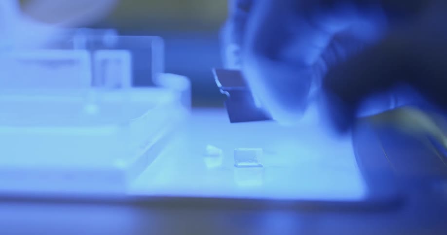 Lab technician cuts samples