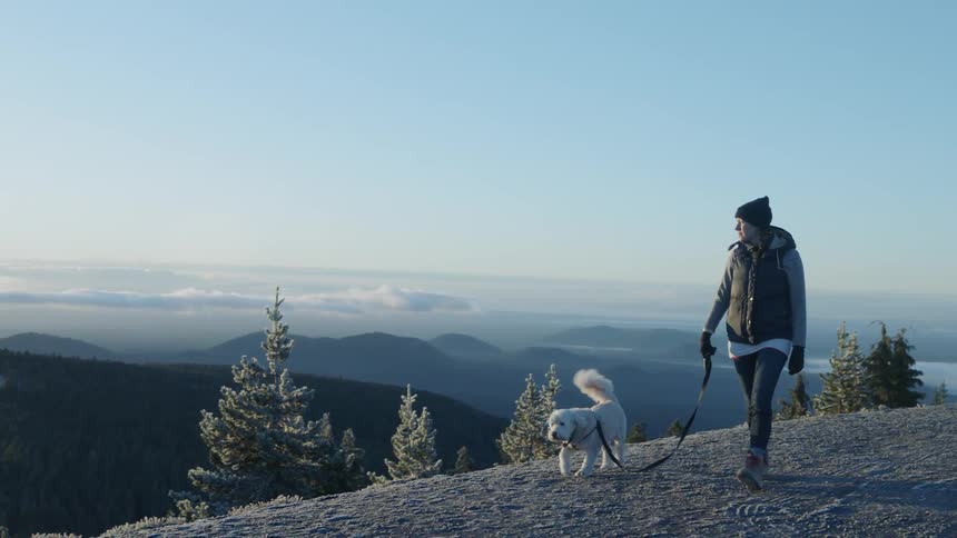 A woman walks a dog atop a mountain