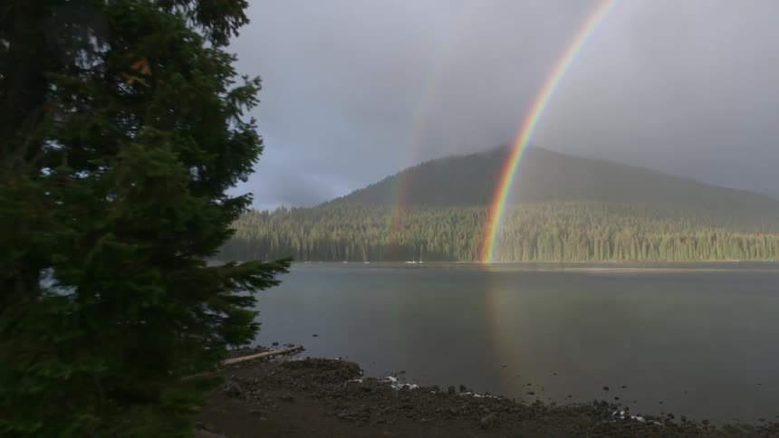 Rainbows are shining over a forest and river on a stormy day