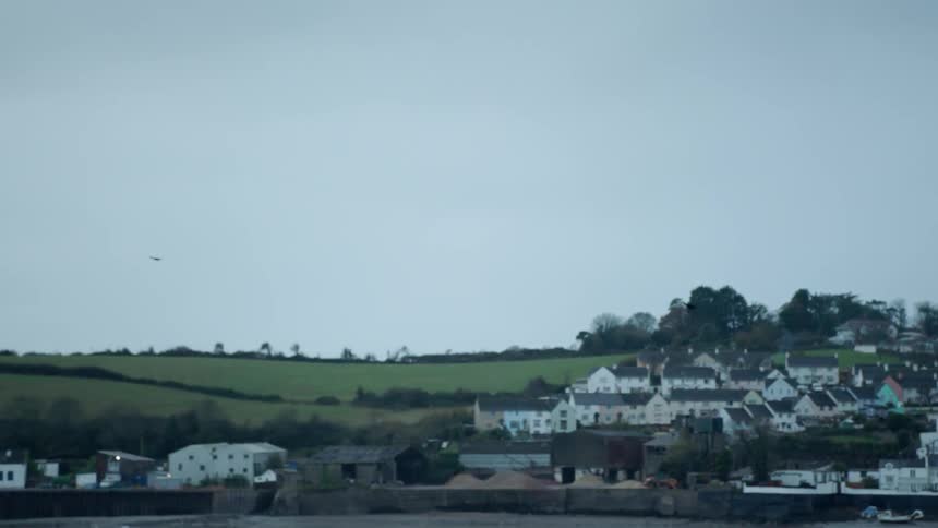 Birds fly over buildings on a cloudy day