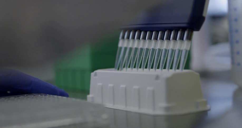 Gloved hands fill tubes and then tilt a tray in a lab