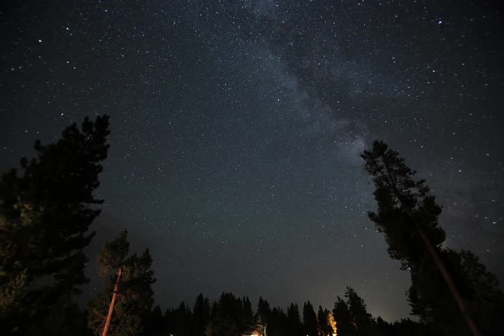 Stars, lights, and clouds move in the sky over pine trees during the night