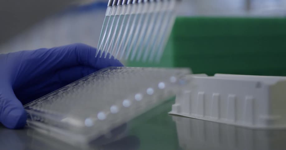 A scientist pipettes liquid in a lab