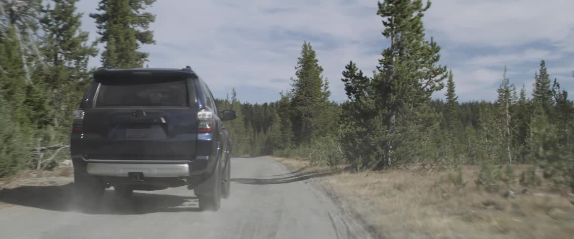 Jeep drives down a country road surrounded by trees