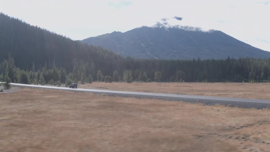 A jeep is traveling down a highway towards the forest
