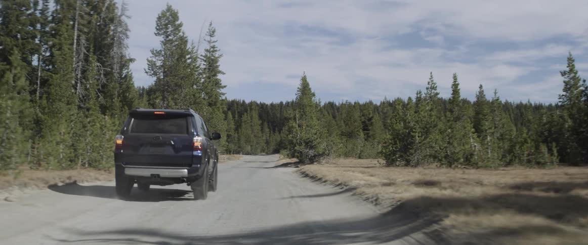 A vehicle drives on a forest road