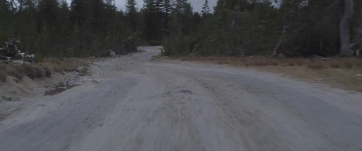 A bumpy dirt road curves through trees and brush