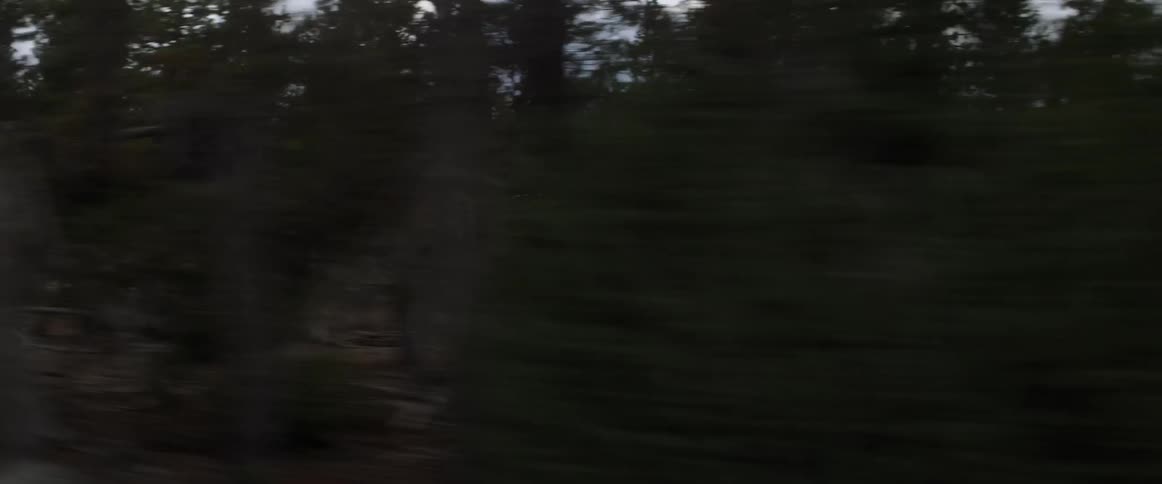 An suv travels on a dirt road in the forest