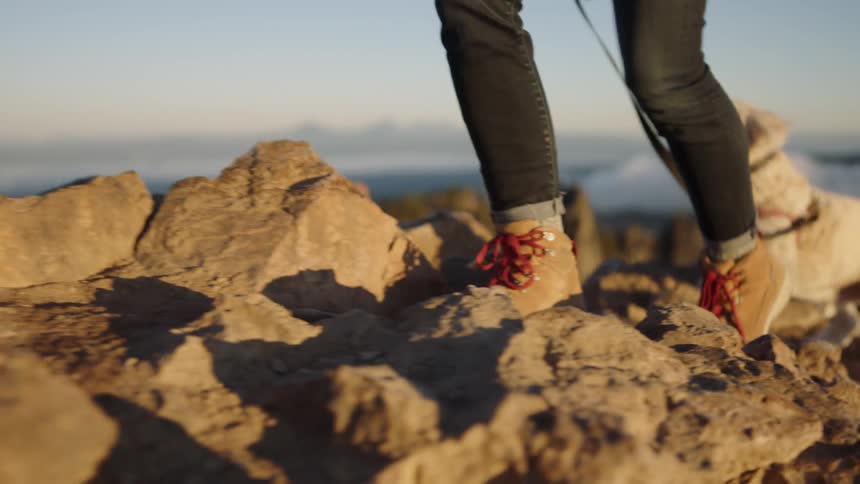 Person walks their dog over rocky terrain above a body of water