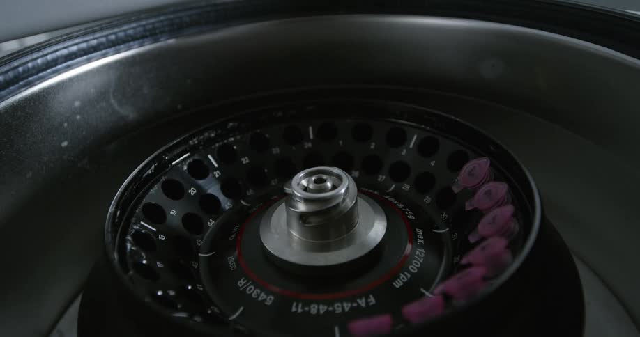 A laboratory worker places vials into a centrifuge