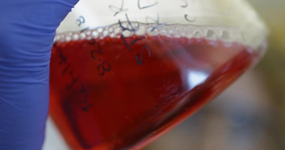 A scientist swirls red liquid in a beaker