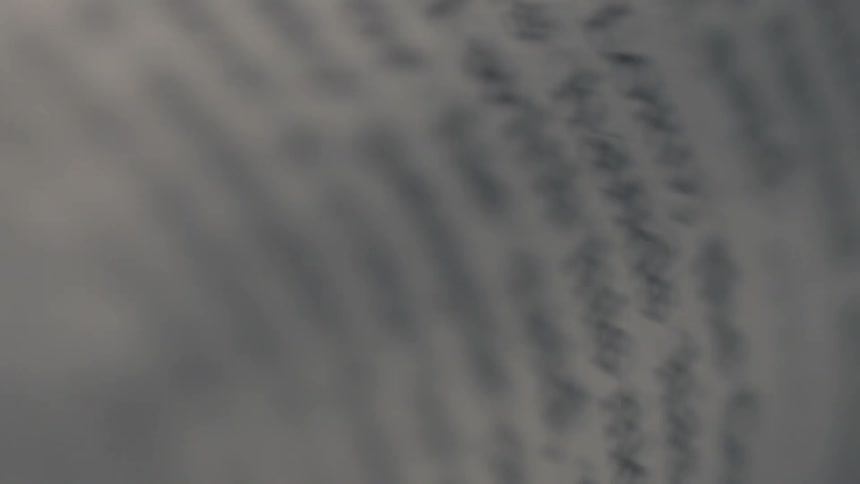 Pages flipping in a book