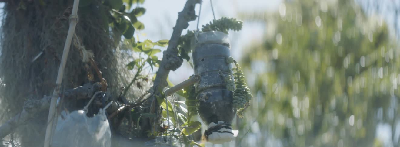 A bird feeder is hung from a tree
