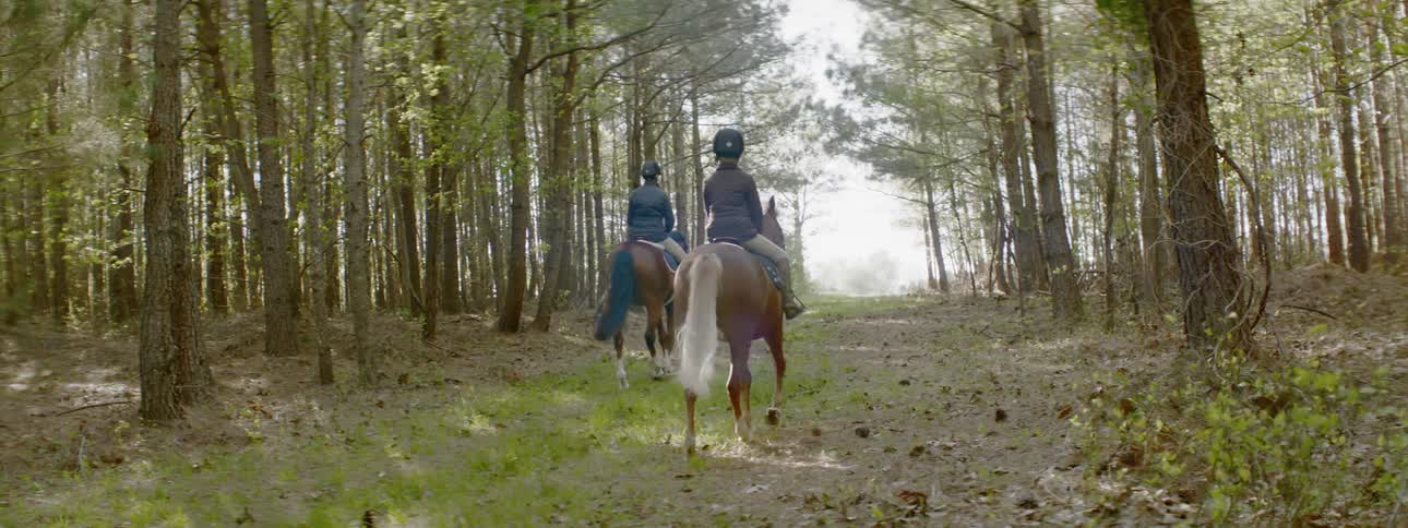 Two people rides horses on a wooded trail