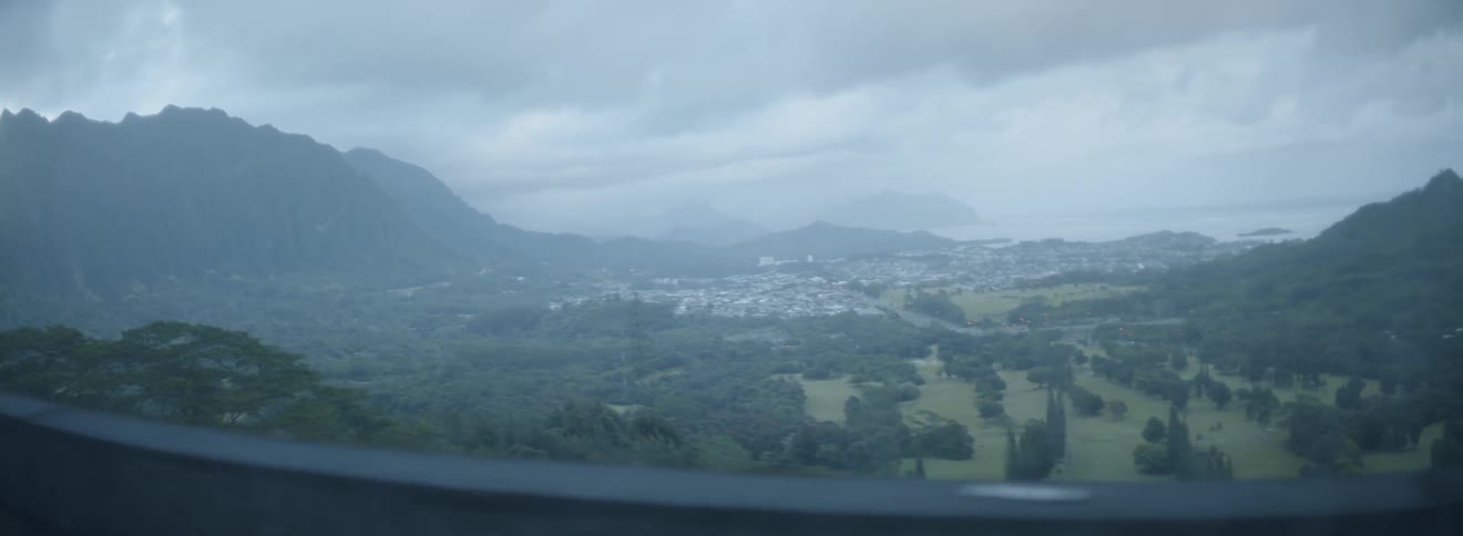 A road and guard rail overlook the trees and city
