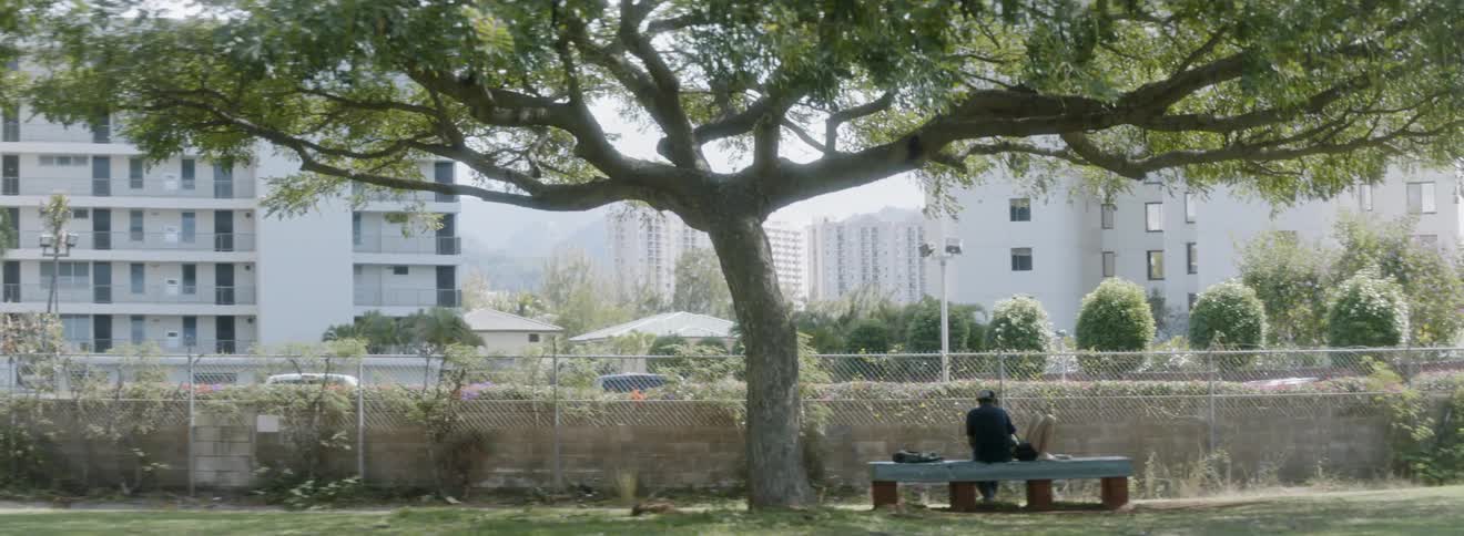 A person sits on a park bench