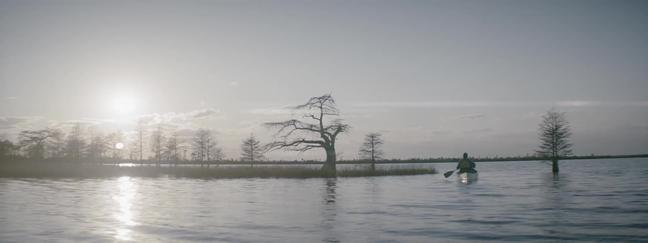 A man rows a boat near grass and trees in a lake
