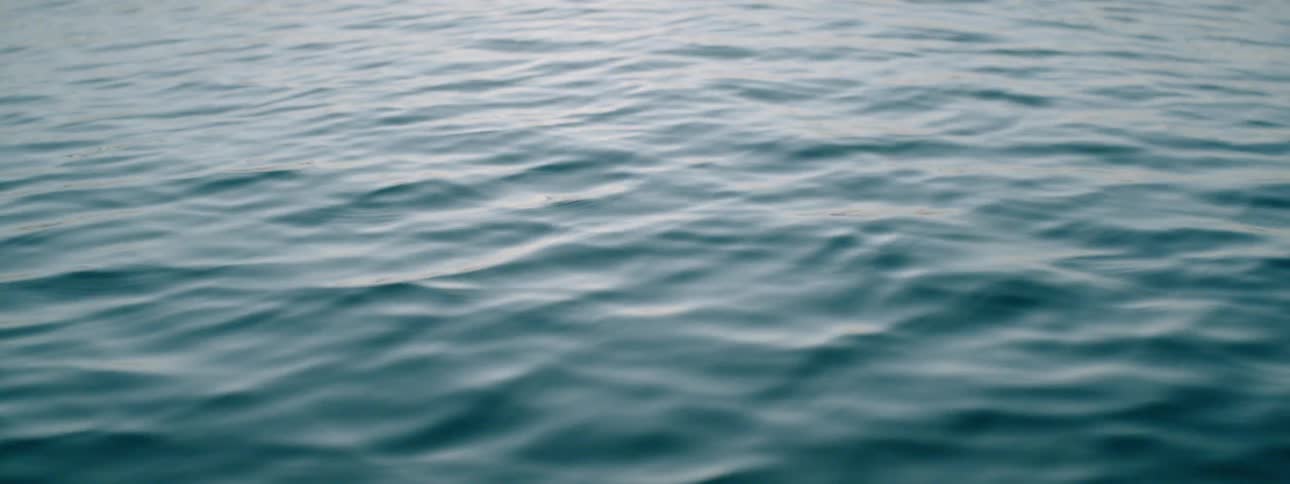 Water ripples on a lake