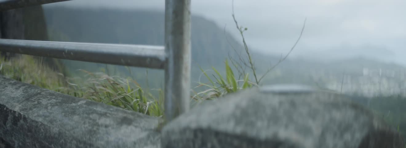The wind is blowing grass and plants on a hillside beyond a fence
