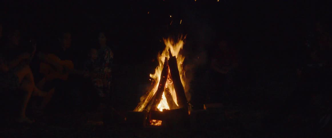 A man plays guitar for the people sitting around a campfire at night