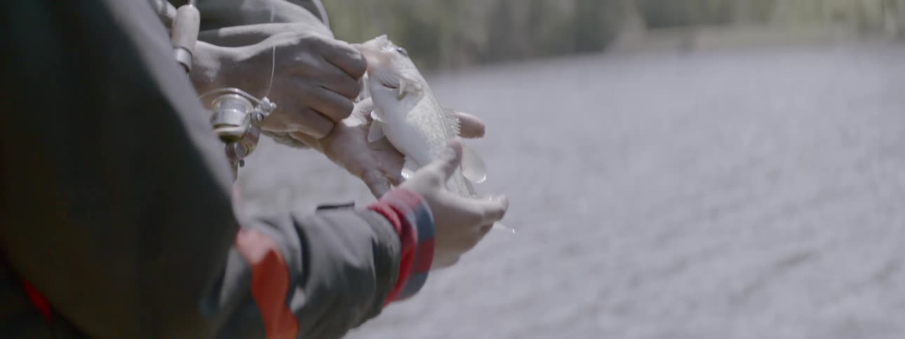 A fisherman holds a fish next to a river