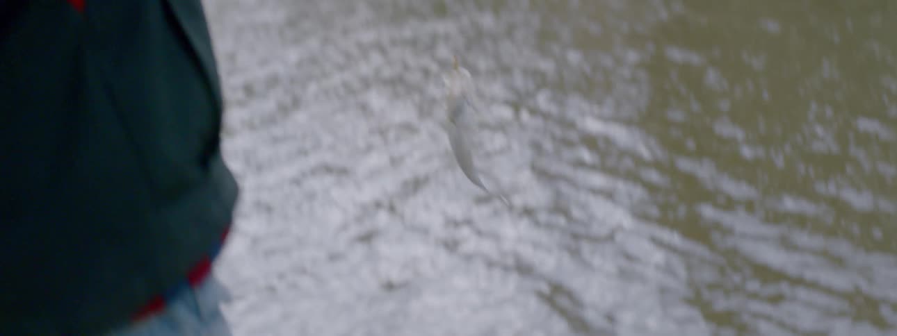 A person pulls a fish at the end of his line out of the water