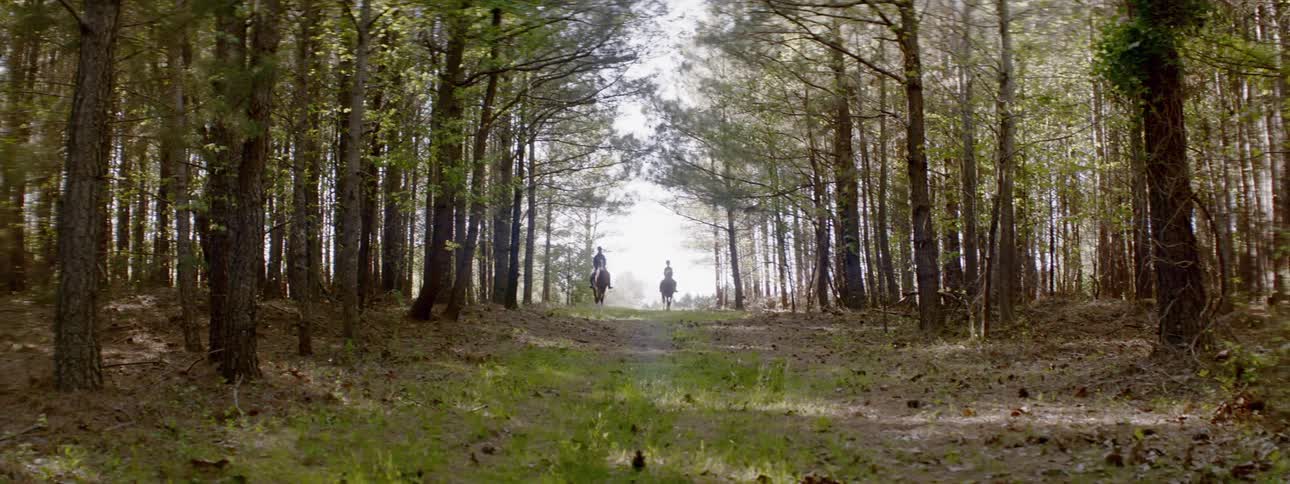 Two people ride horses on a dirt trail