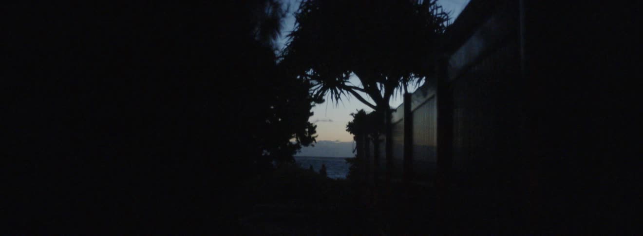 The sun is rising over the ocean with a view through some trees