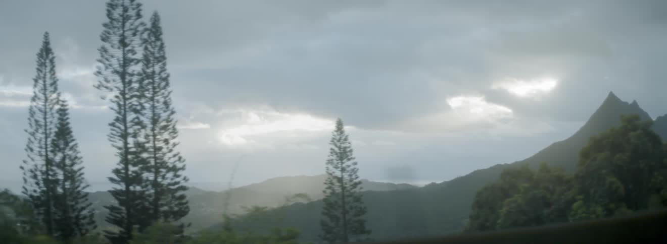 Passing people and trees along the road