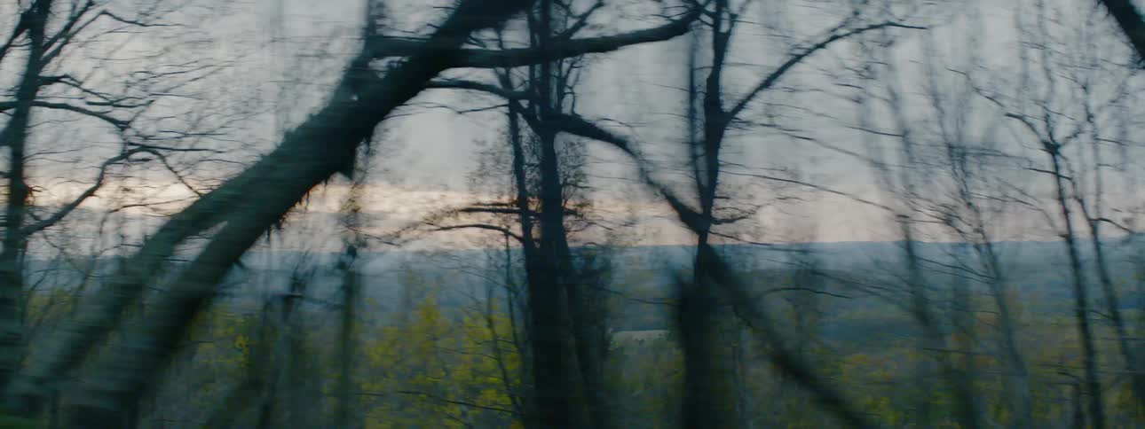 A car drives by rural trees at sunset